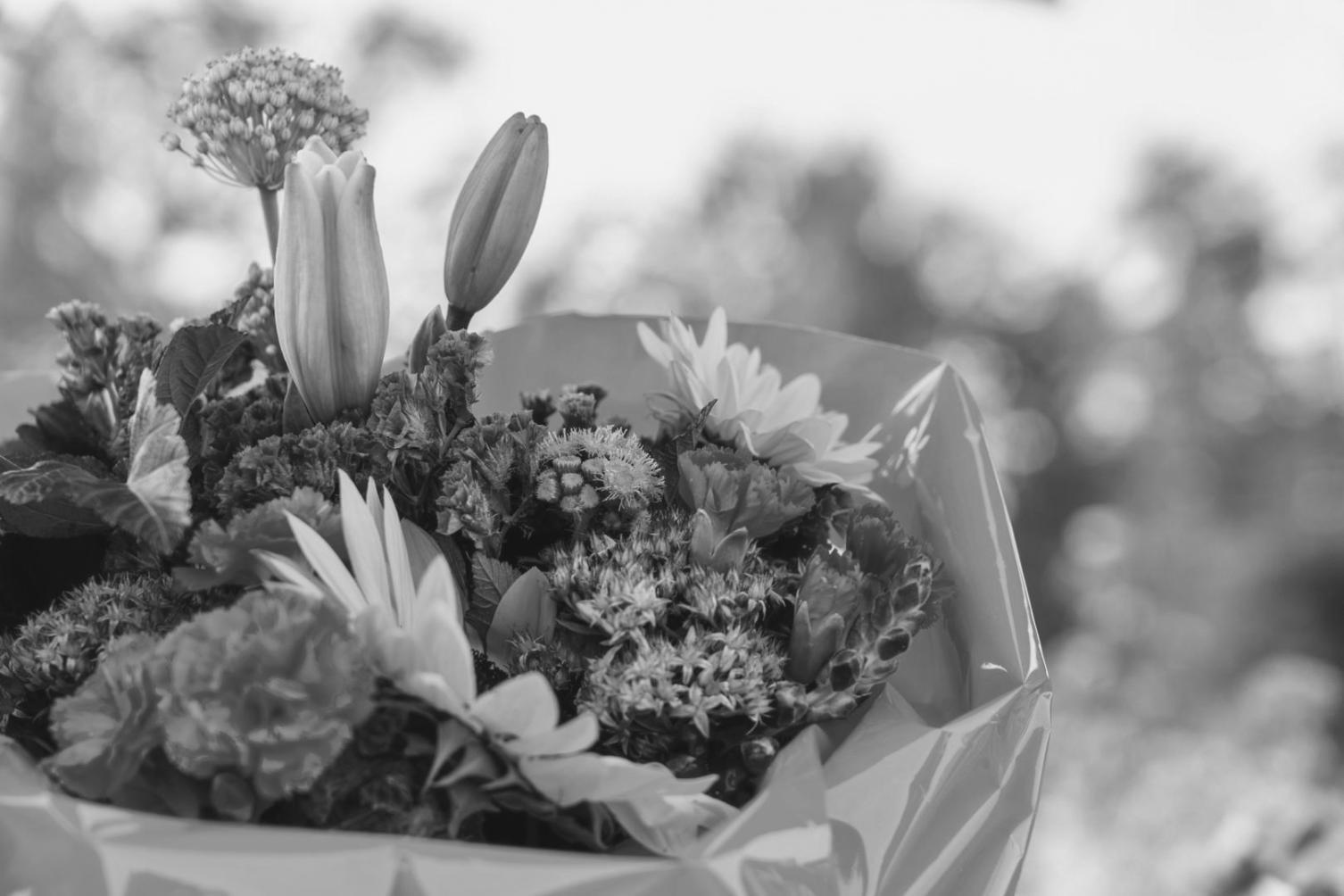 Indoor plant arrangement demonstration during live webinar session