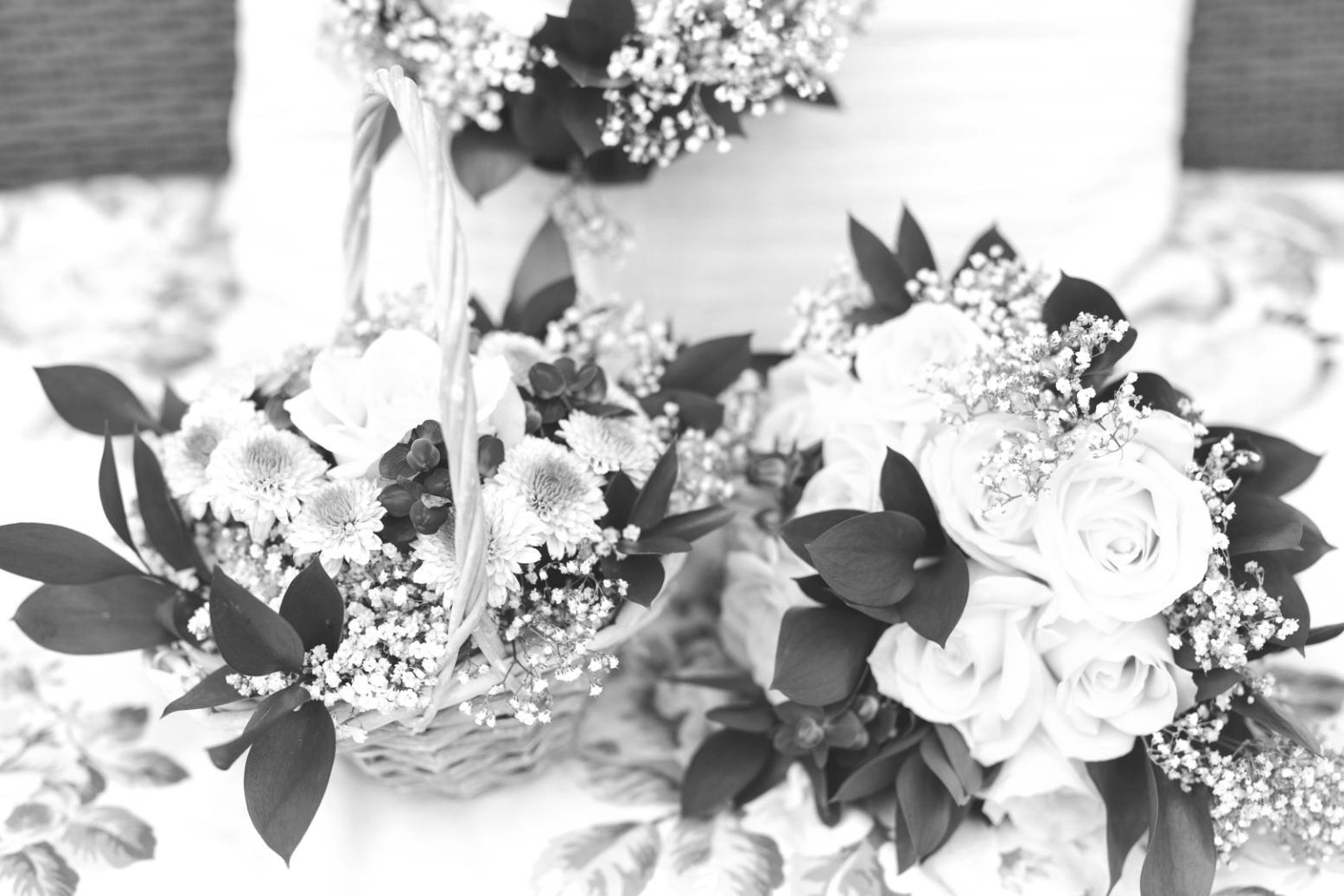 Indoor plant design learning session